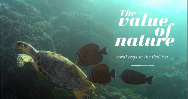 The value of nature